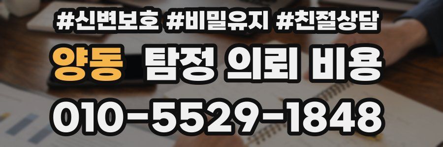 양동 탐정 의뢰 비용