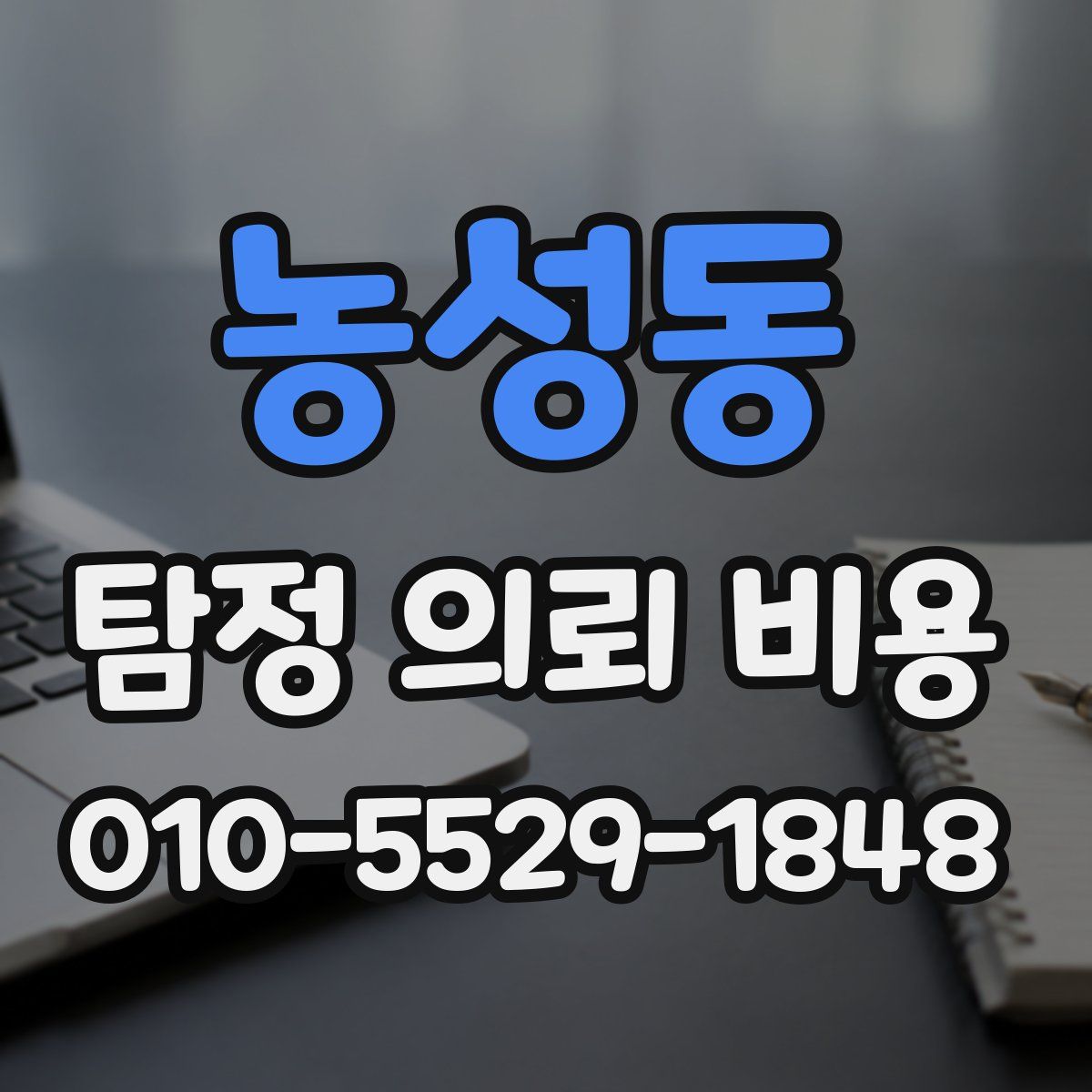 농성동 탐정 의뢰 비용