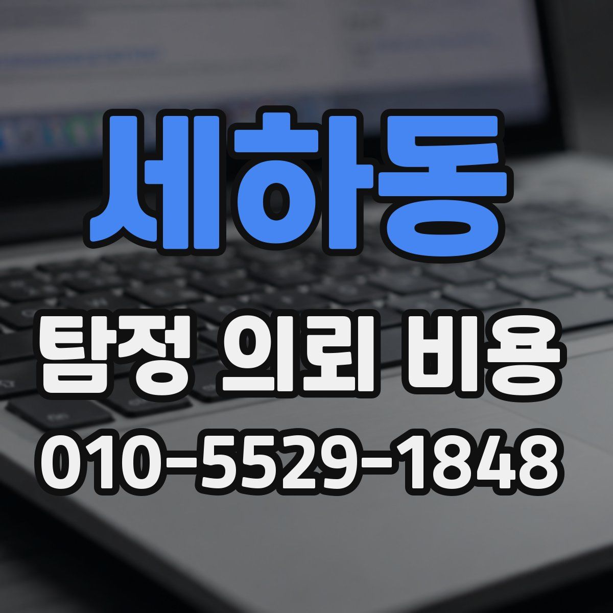 세하동 탐정 의뢰 비용