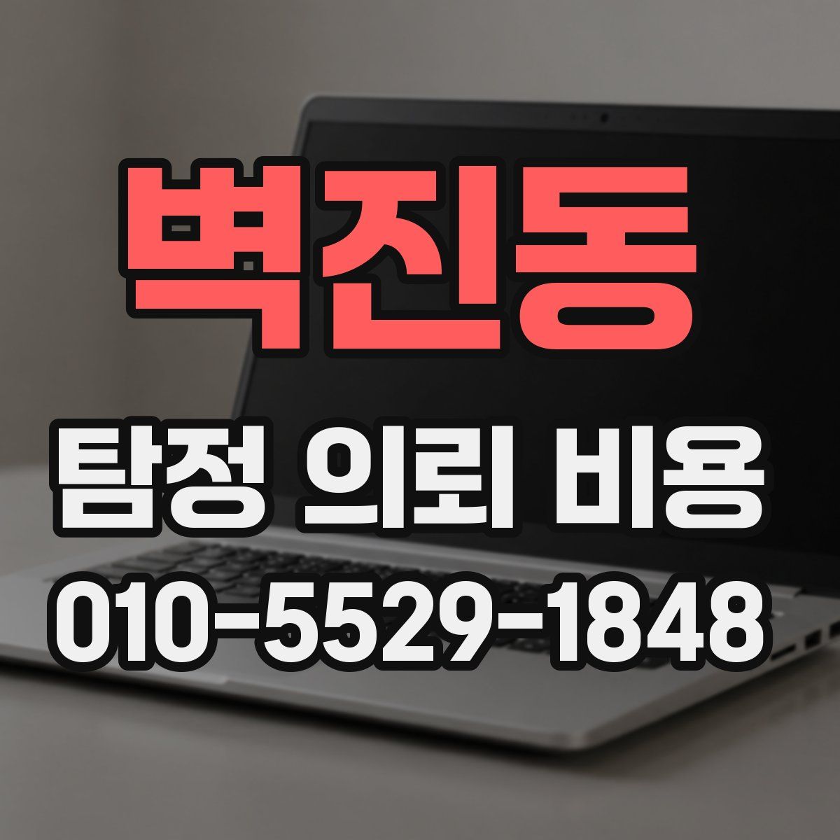 벽진동 탐정 의뢰 비용