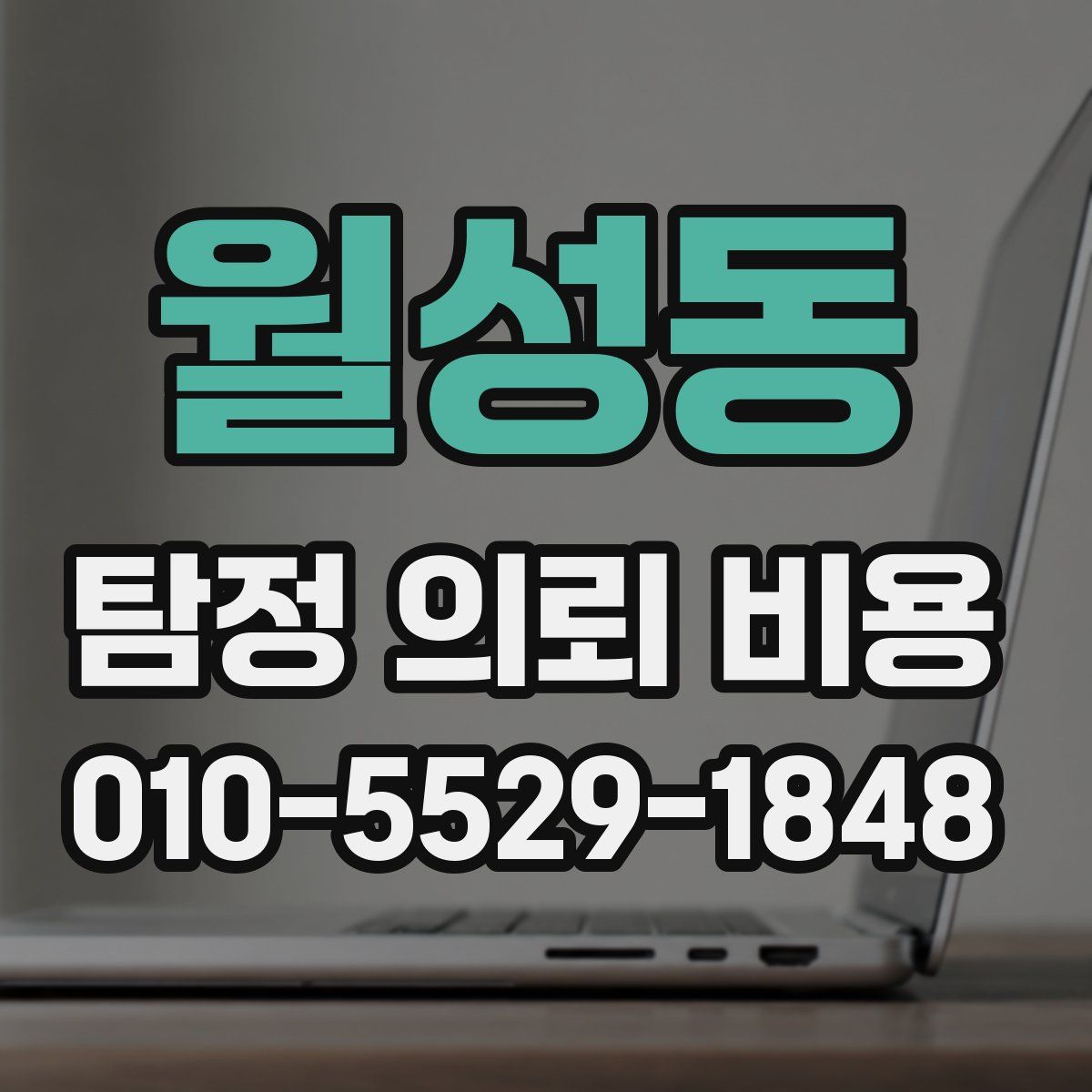 월성동 탐정 의뢰 비용