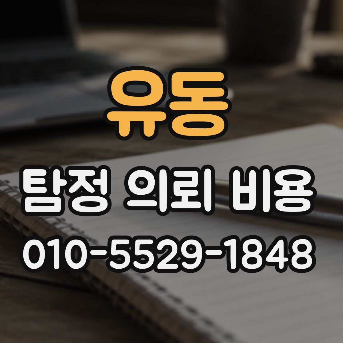 유동 탐정 의뢰 비용