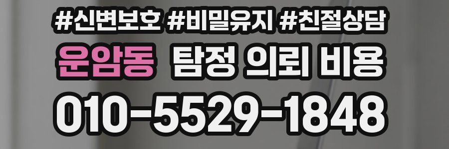 운암동 탐정 의뢰 비용