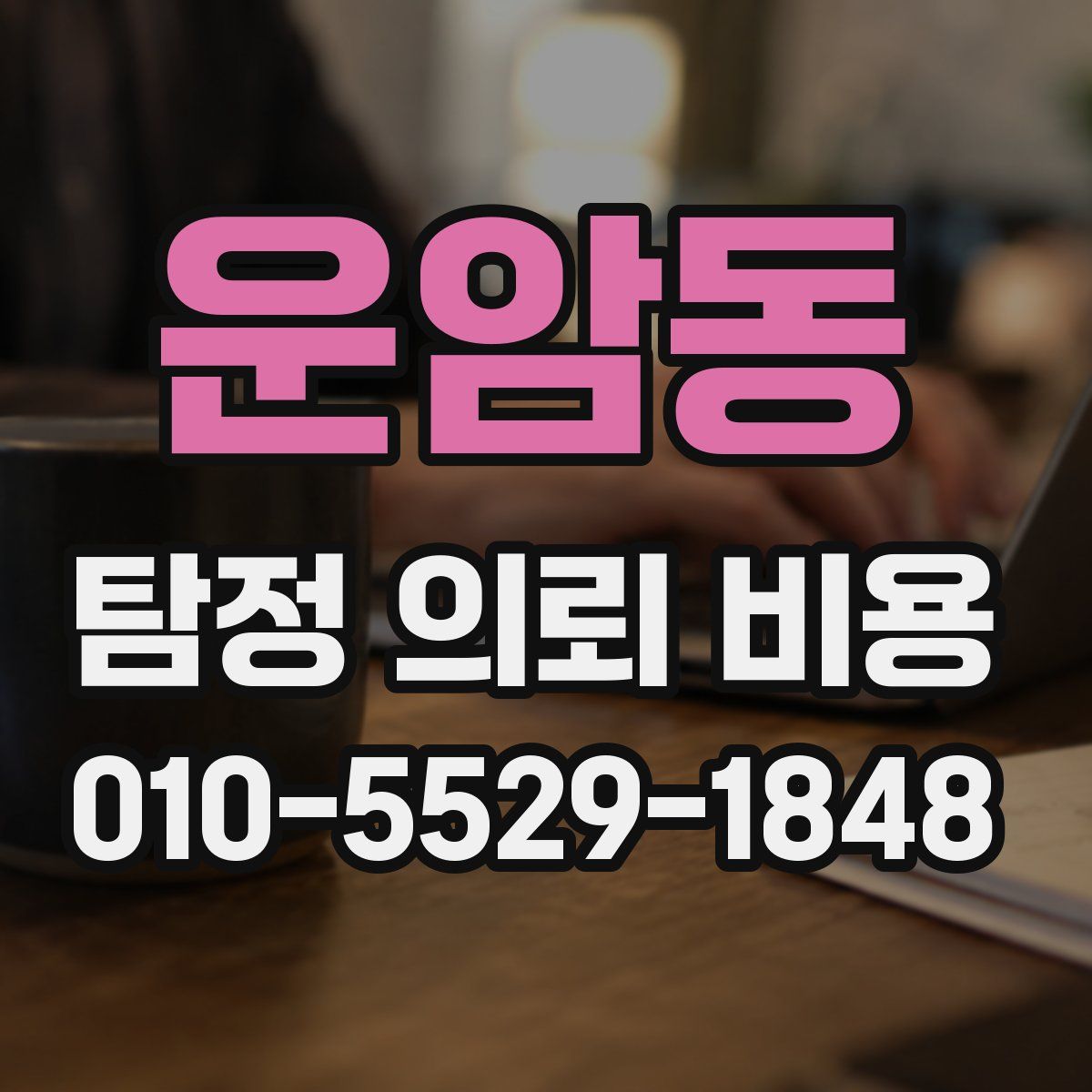 운암동 탐정 의뢰 비용