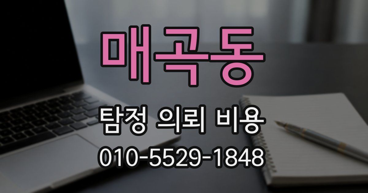 매곡동 탐정 의뢰 비용