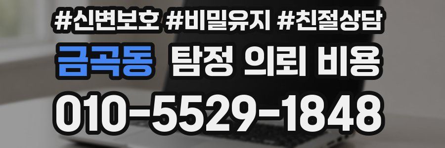 금곡동 탐정 의뢰 비용