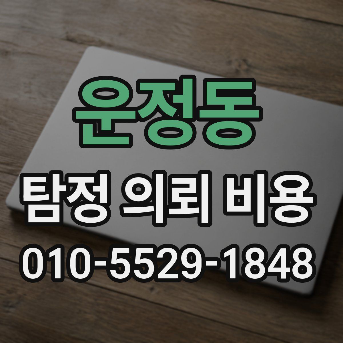 운정동 탐정 의뢰 비용