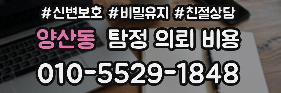 양산동 탐정 의뢰 비용