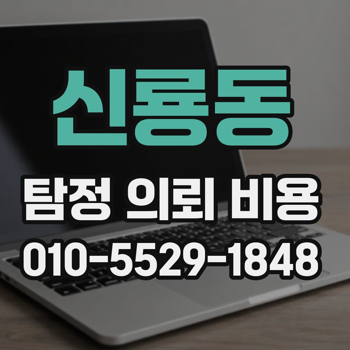 신룡동 탐정 의뢰 비용