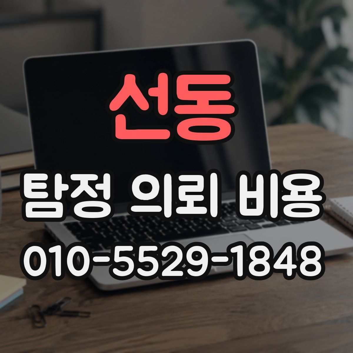 선동 탐정 의뢰 비용