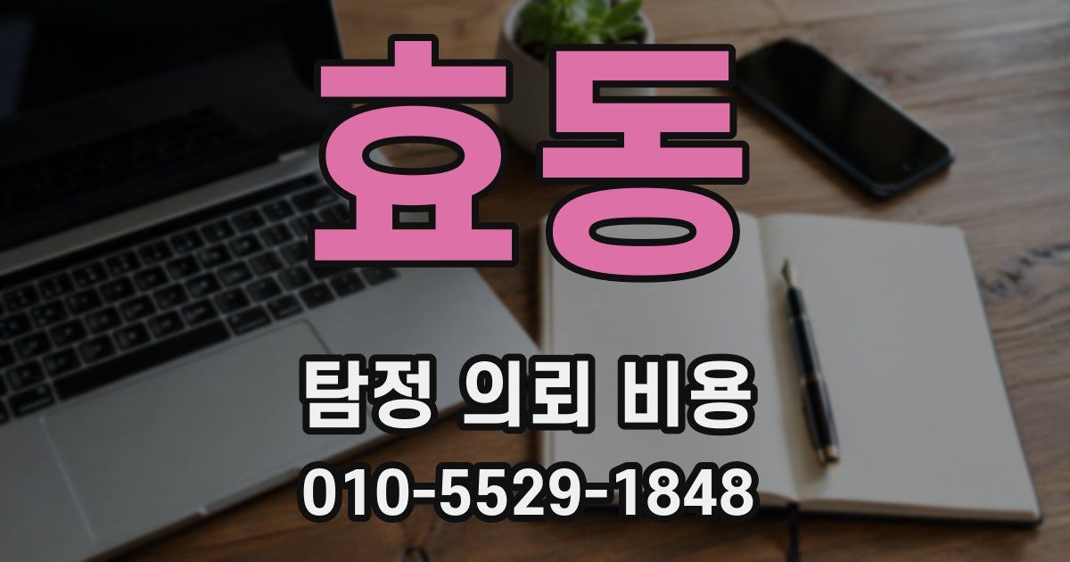 효동 탐정 의뢰 비용
