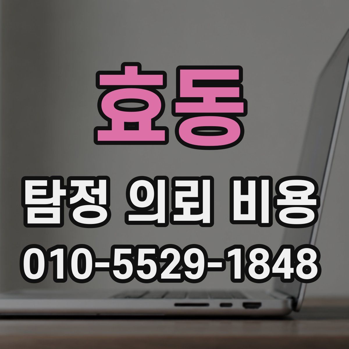 효동 탐정 의뢰 비용