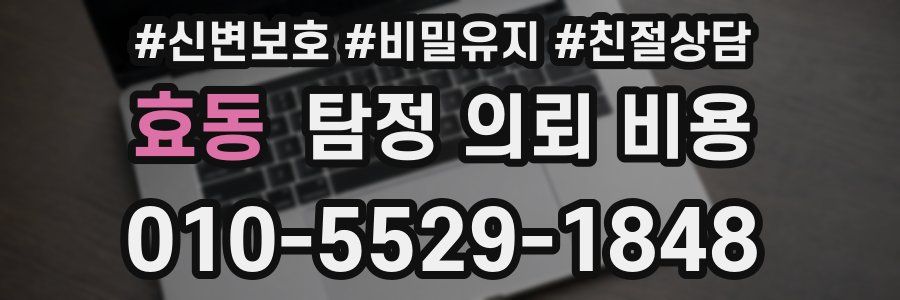 효동 탐정 의뢰 비용