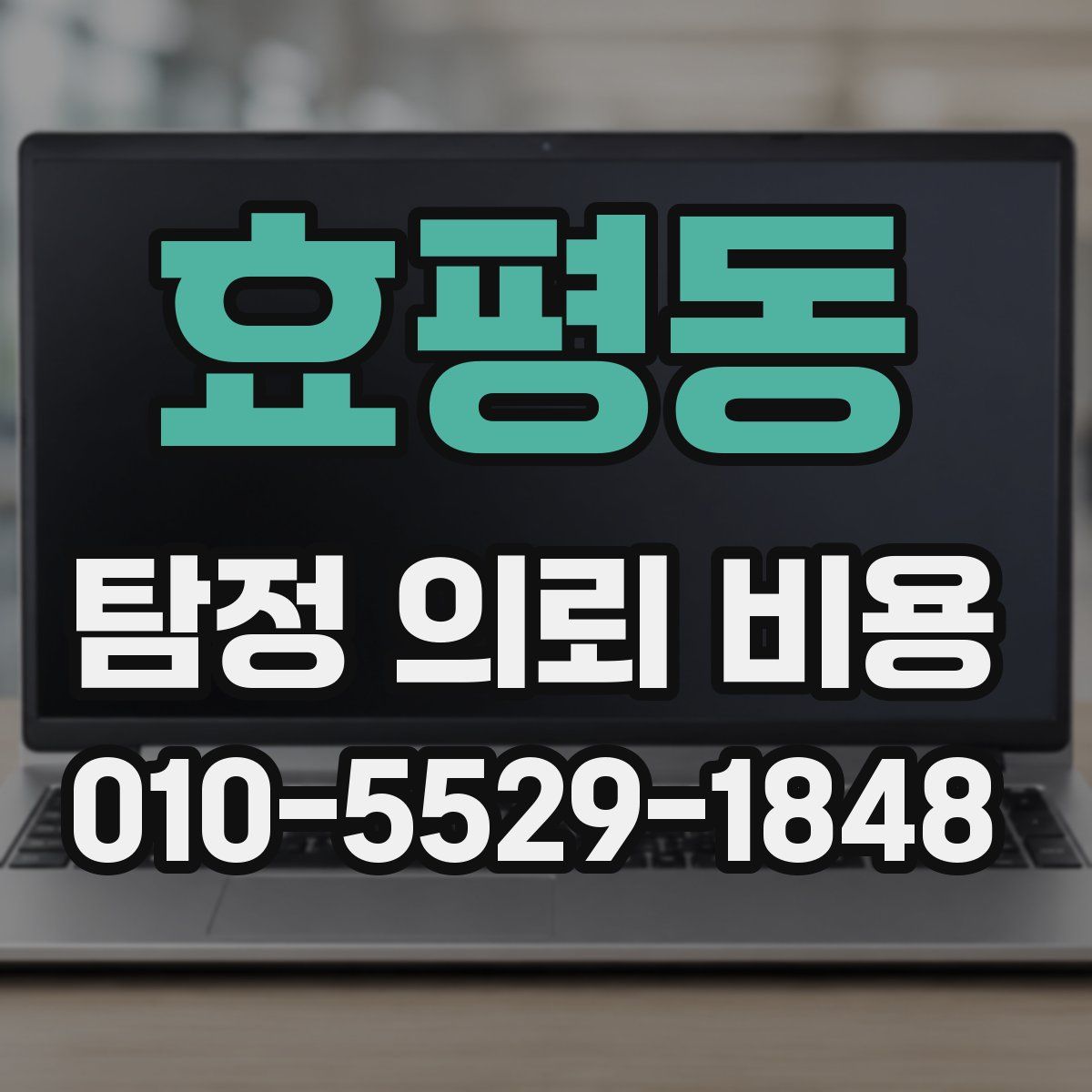 효평동 탐정 의뢰 비용