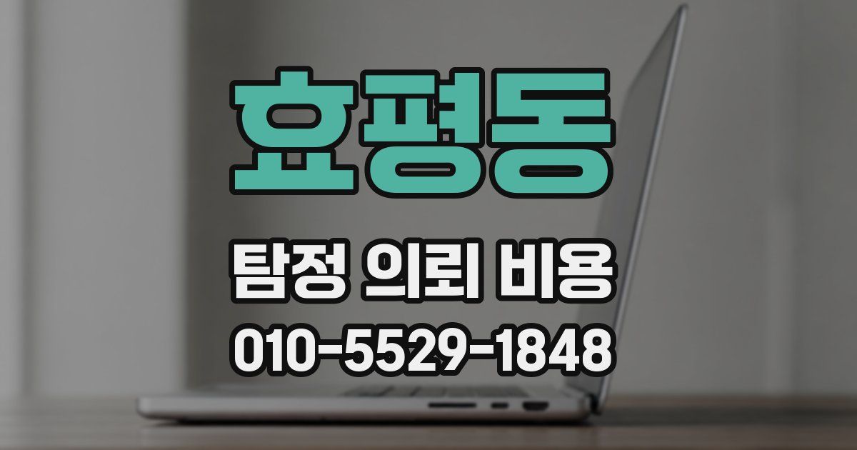 효평동 탐정 의뢰 비용