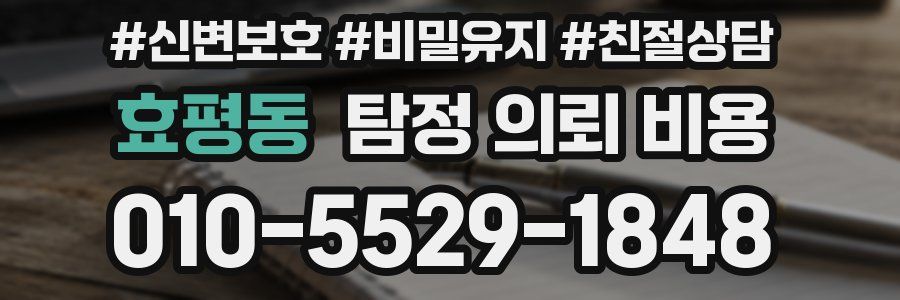 효평동 탐정 의뢰 비용