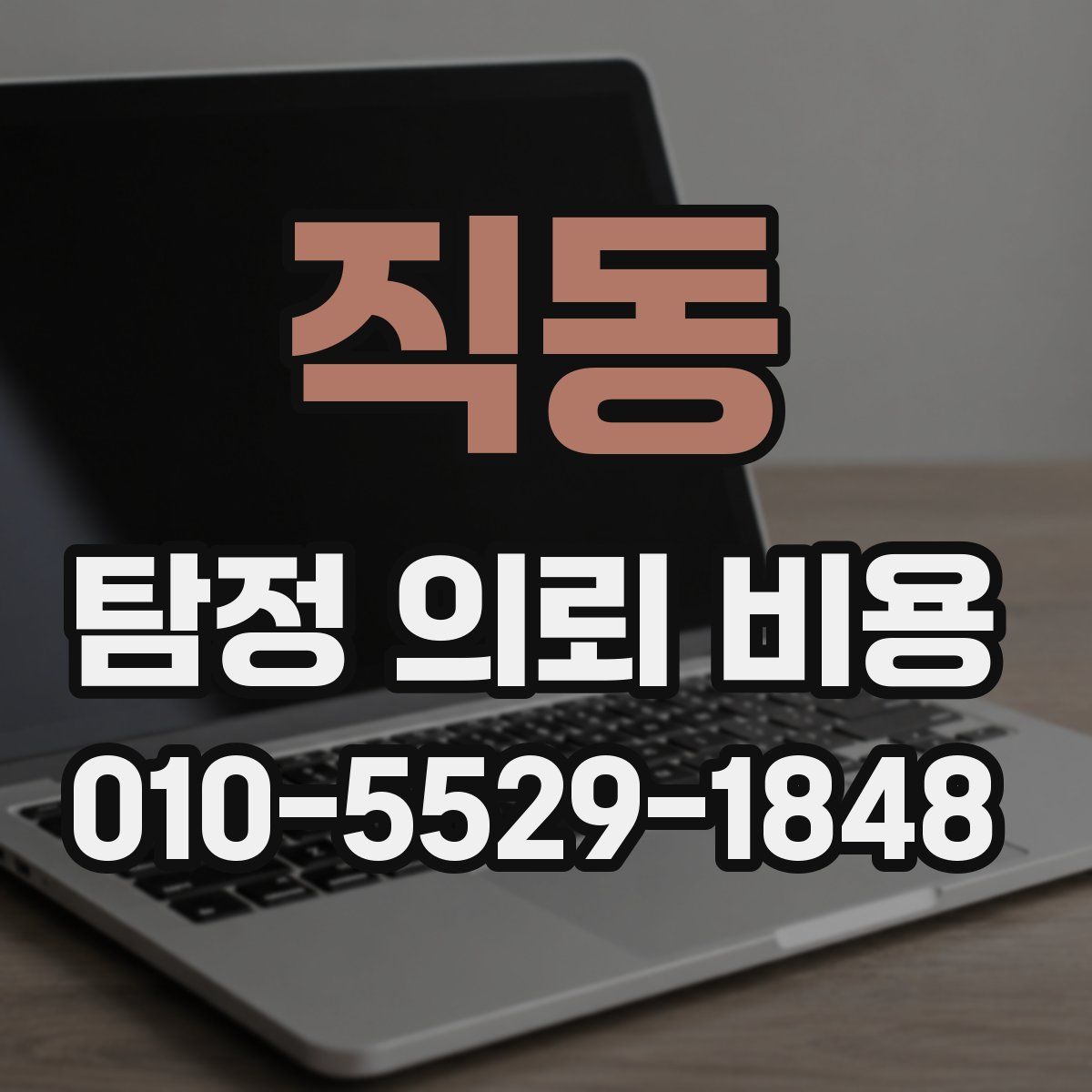 직동 탐정 의뢰 비용