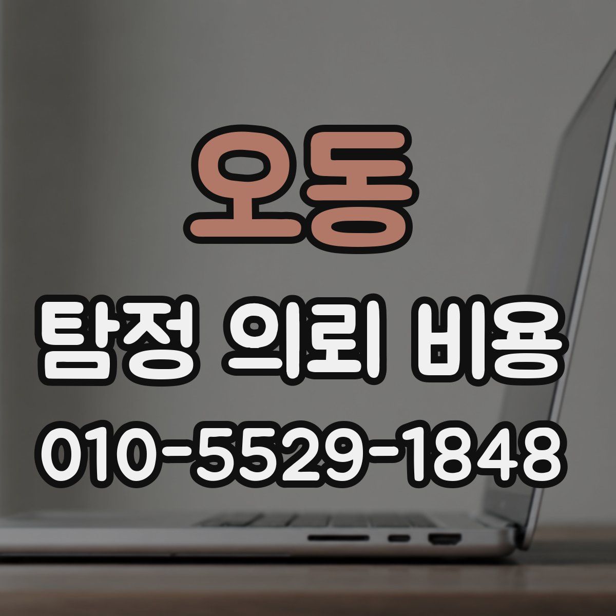 오동 탐정 의뢰 비용