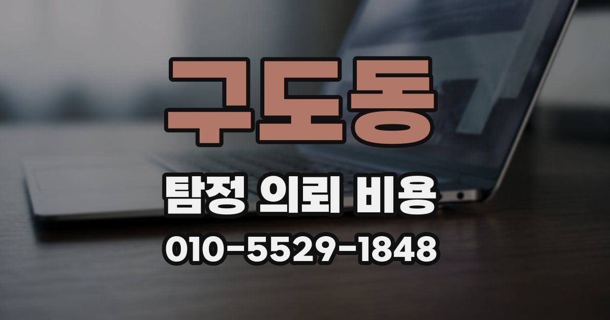 구도동 탐정 의뢰 비용