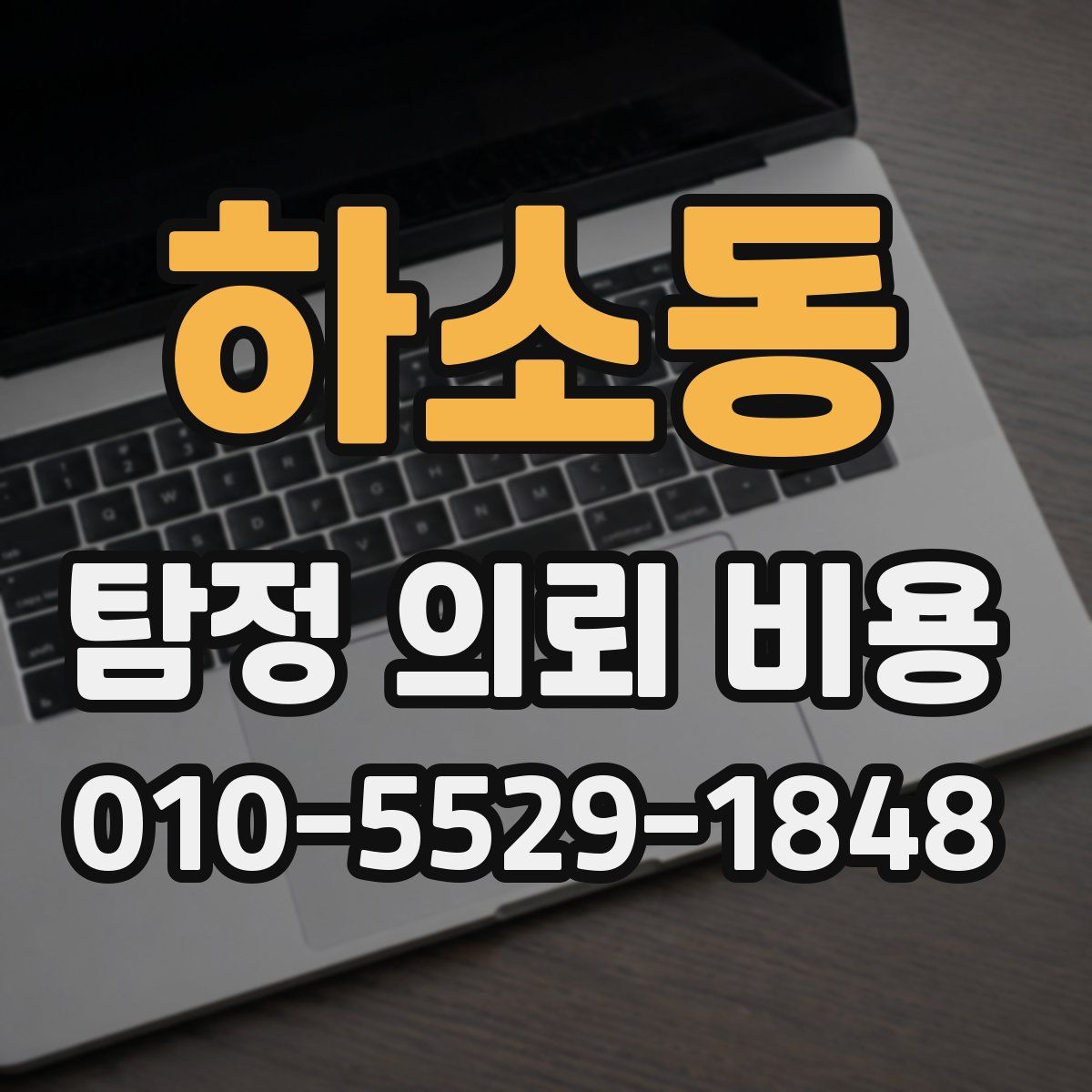 하소동 탐정 의뢰 비용