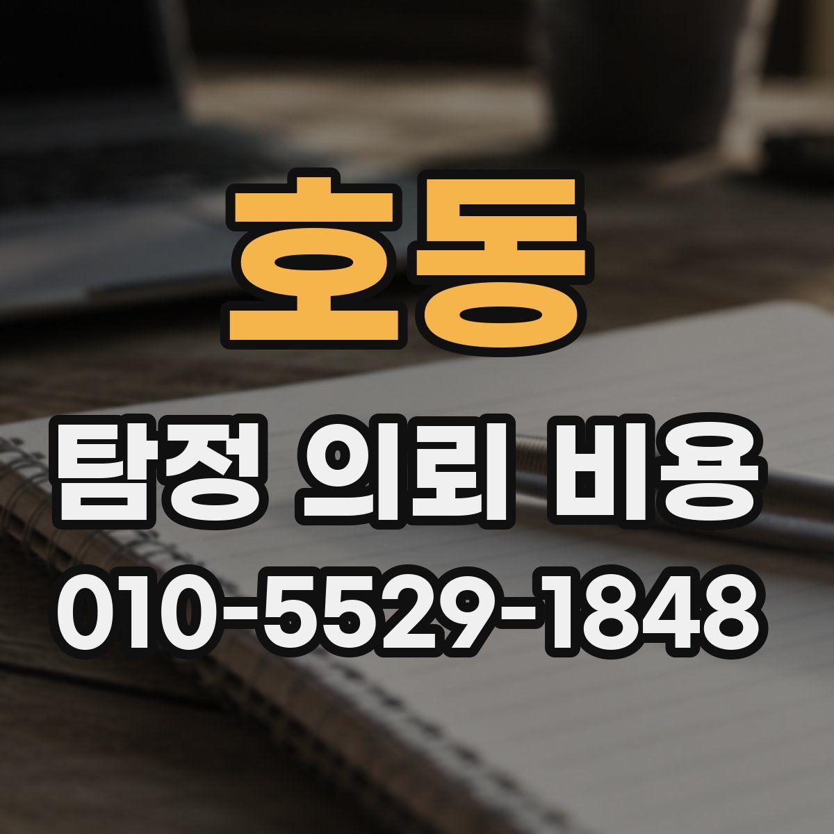 호동 탐정 의뢰 비용