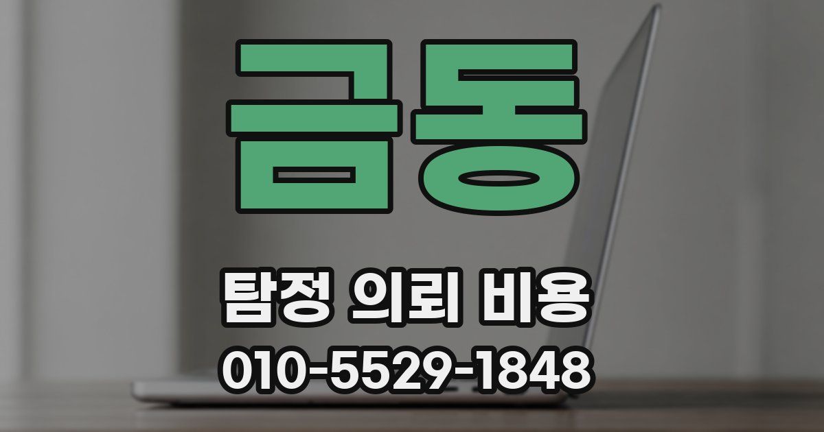 금동 탐정 의뢰 비용