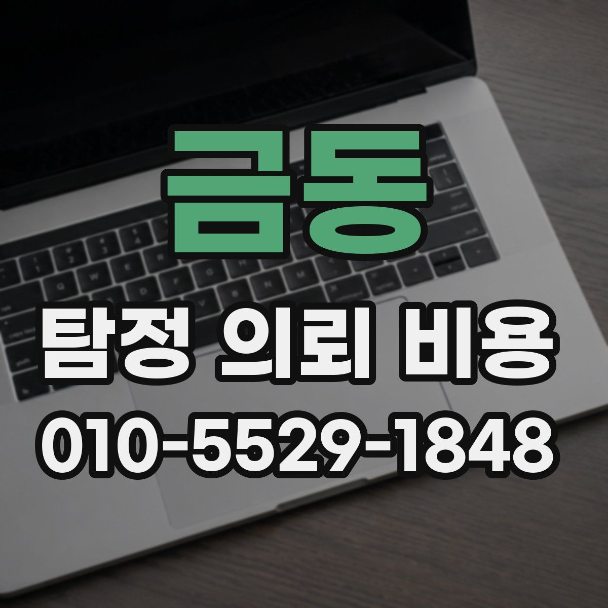 금동 탐정 의뢰 비용