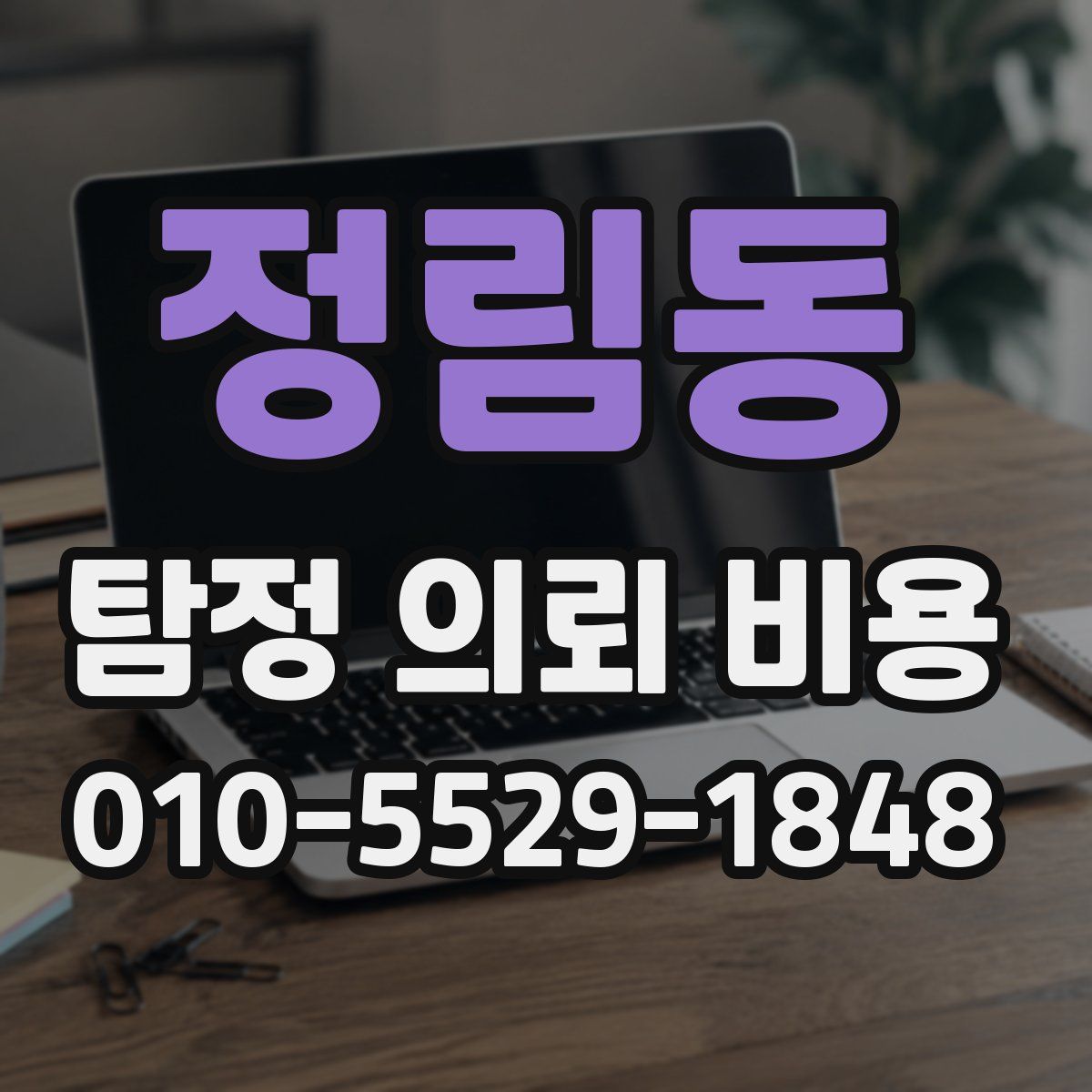 정림동 탐정 의뢰 비용