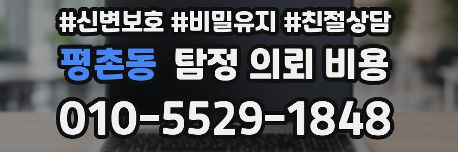 평촌동 탐정 의뢰 비용