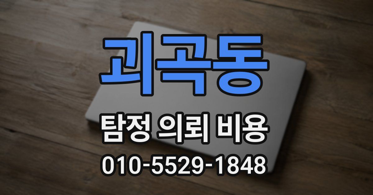 괴곡동 탐정 의뢰 비용