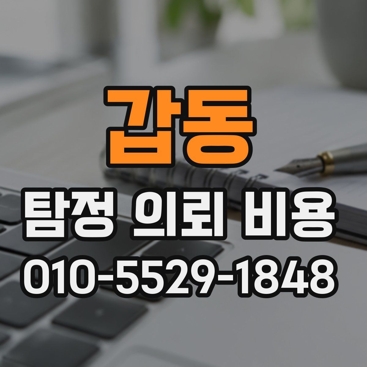 갑동 탐정 의뢰 비용