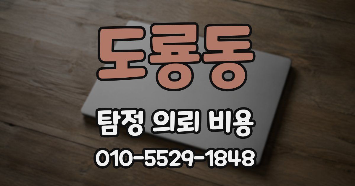 도룡동 탐정 의뢰 비용