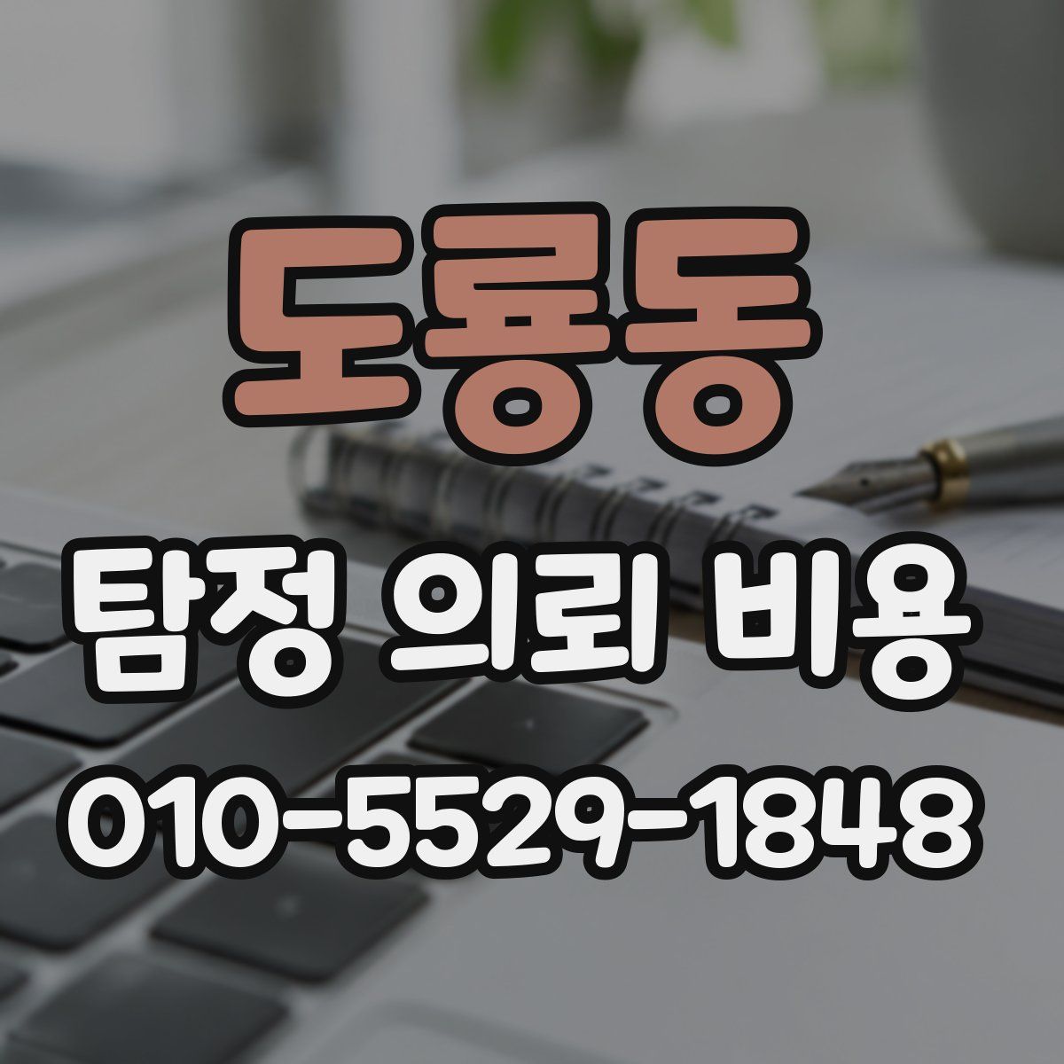 도룡동 탐정 의뢰 비용