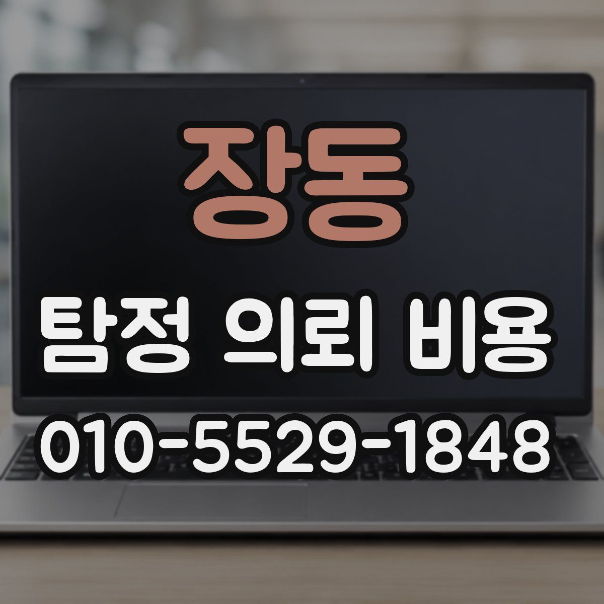 장동 탐정 의뢰 비용