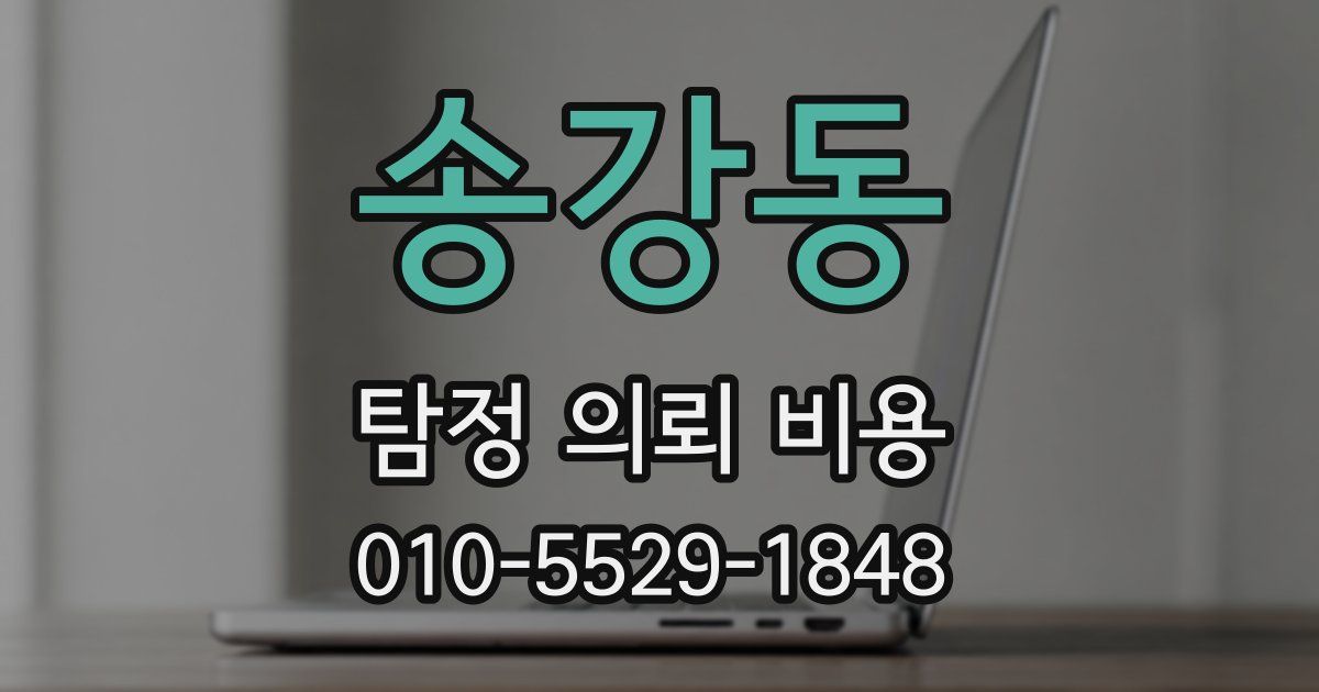 송강동 탐정 의뢰 비용