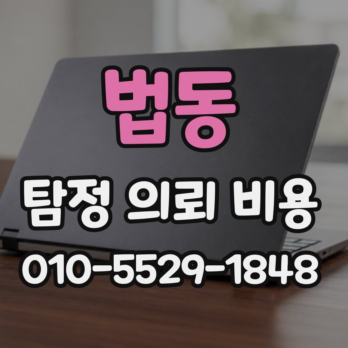 법동 탐정 의뢰 비용