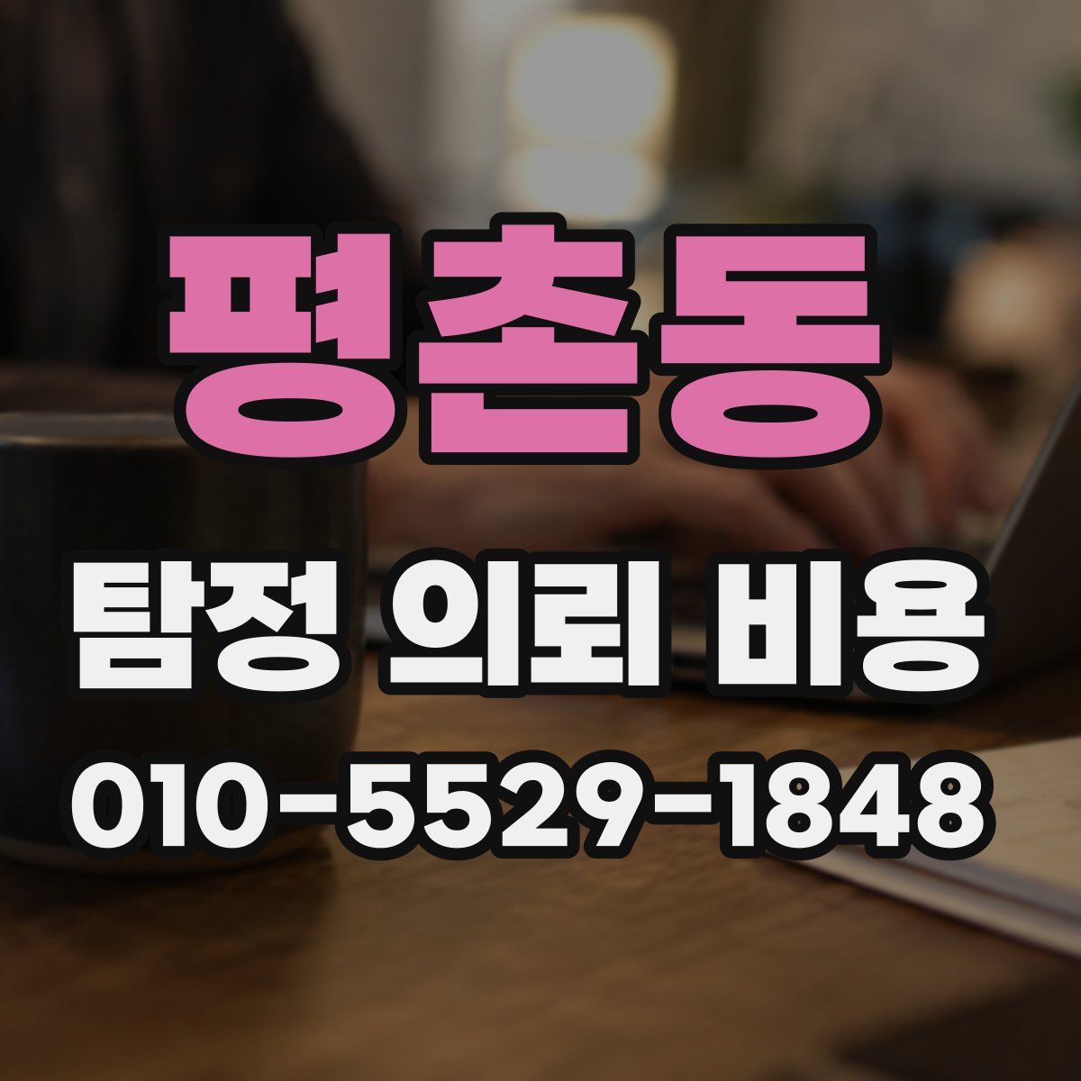 평촌동 탐정 의뢰 비용