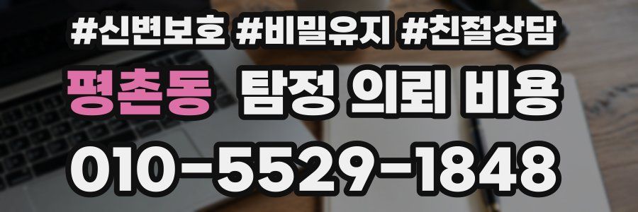 평촌동 탐정 의뢰 비용