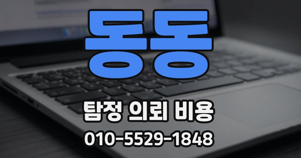 동동 탐정 의뢰 비용