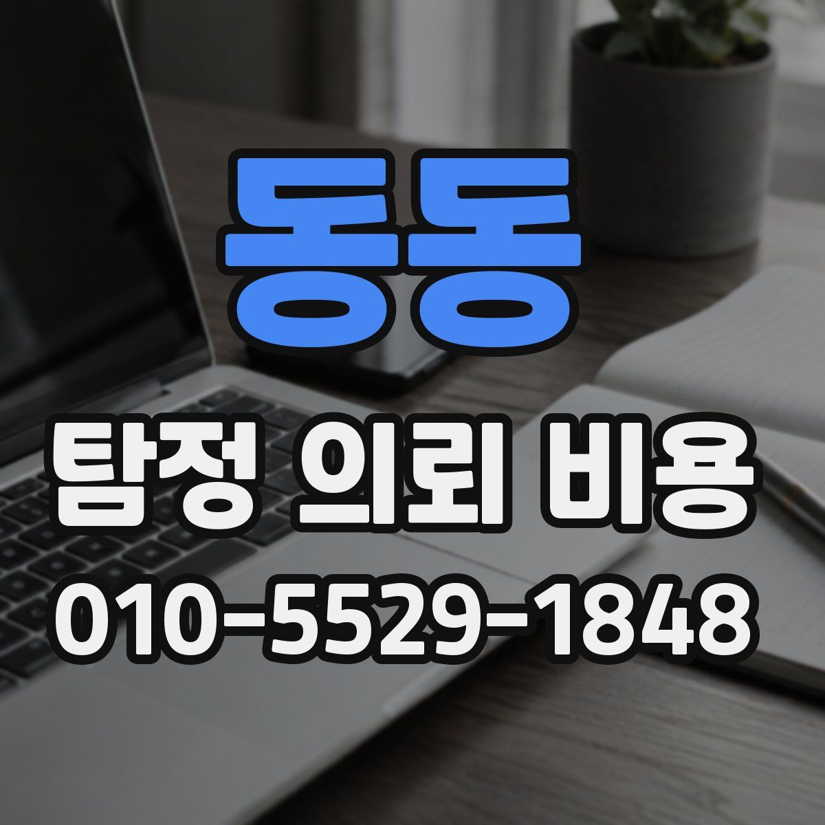 동동 탐정 의뢰 비용