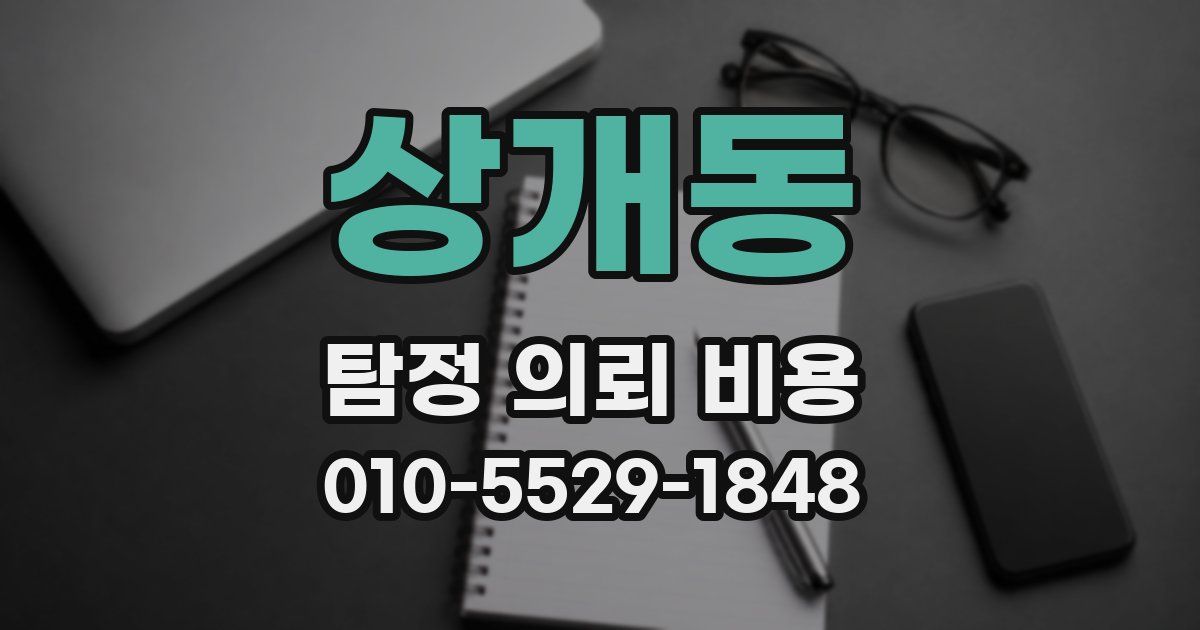 상개동 탐정 의뢰 비용
