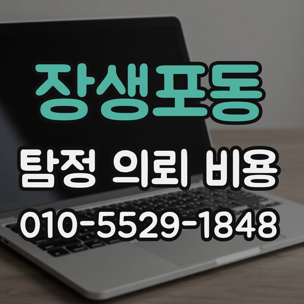 장생포동 탐정 의뢰 비용