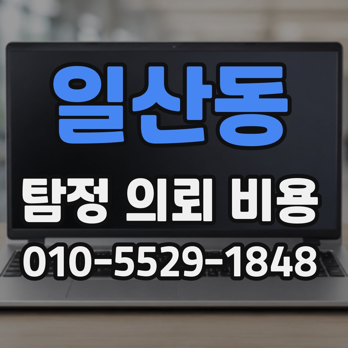 일산동 탐정 의뢰 비용