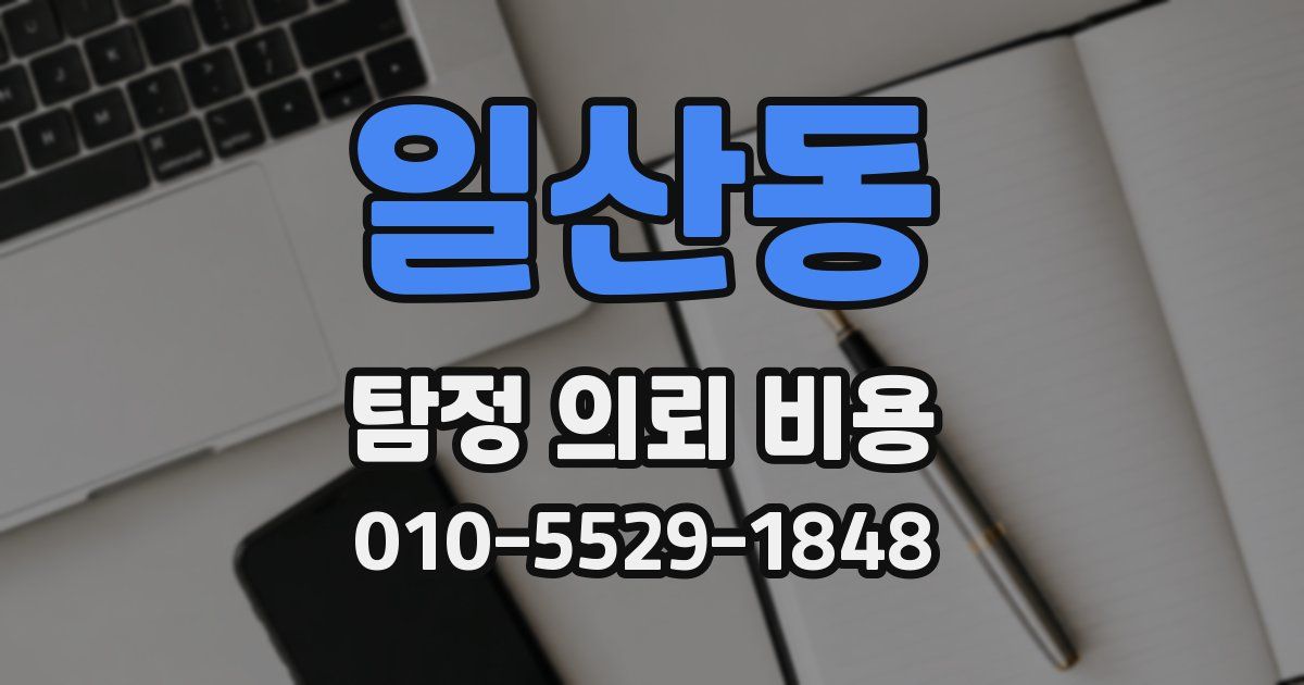 일산동 탐정 의뢰 비용