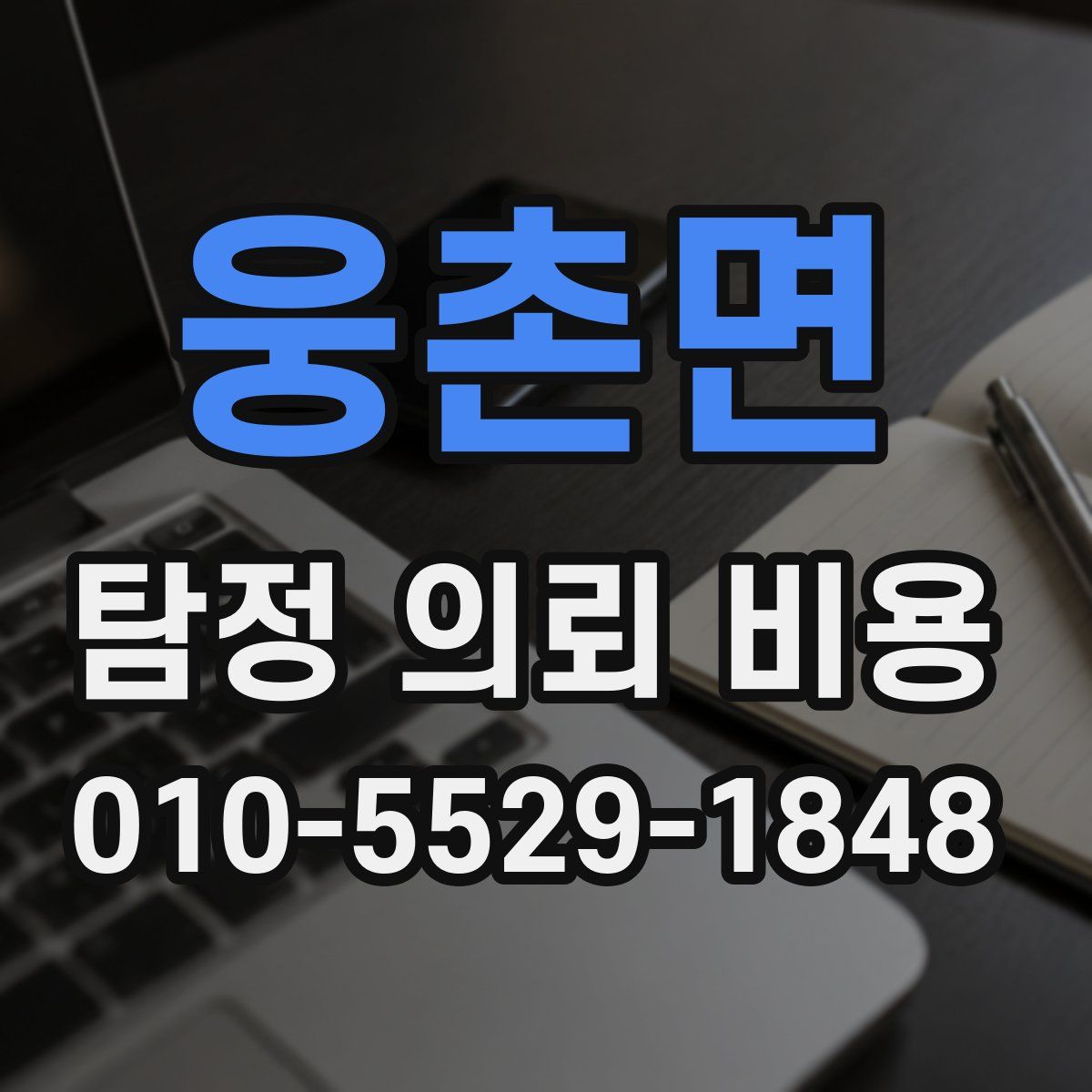 웅촌면 탐정 의뢰 비용