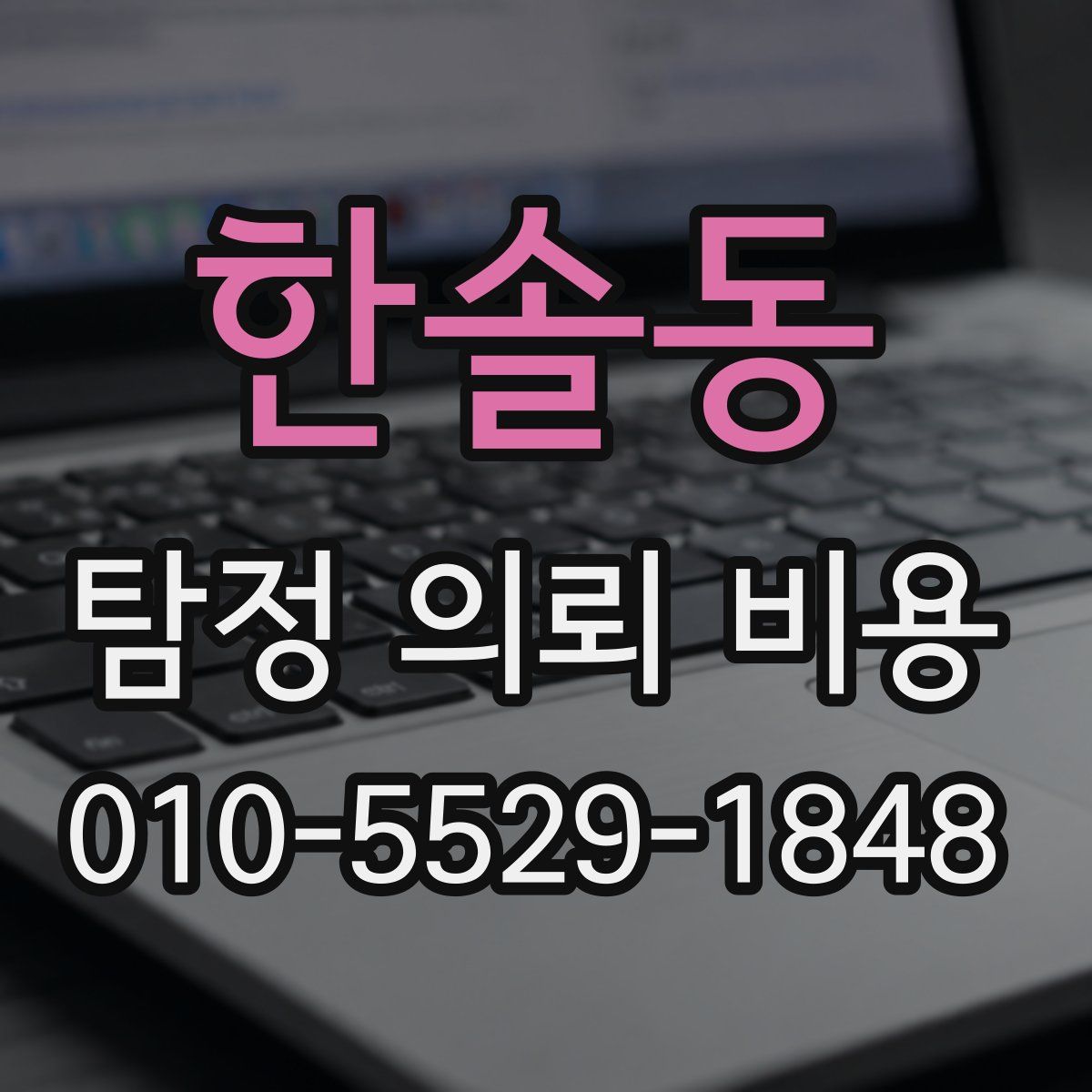 한솔동 탐정 의뢰 비용