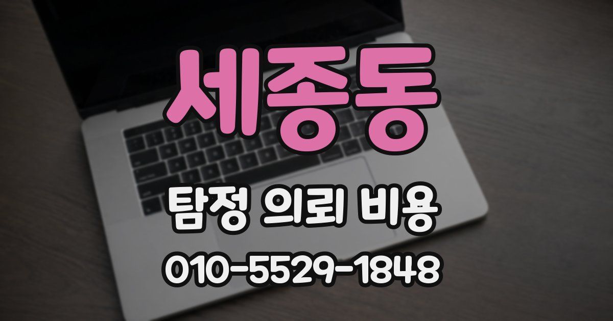 세종동 탐정 의뢰 비용