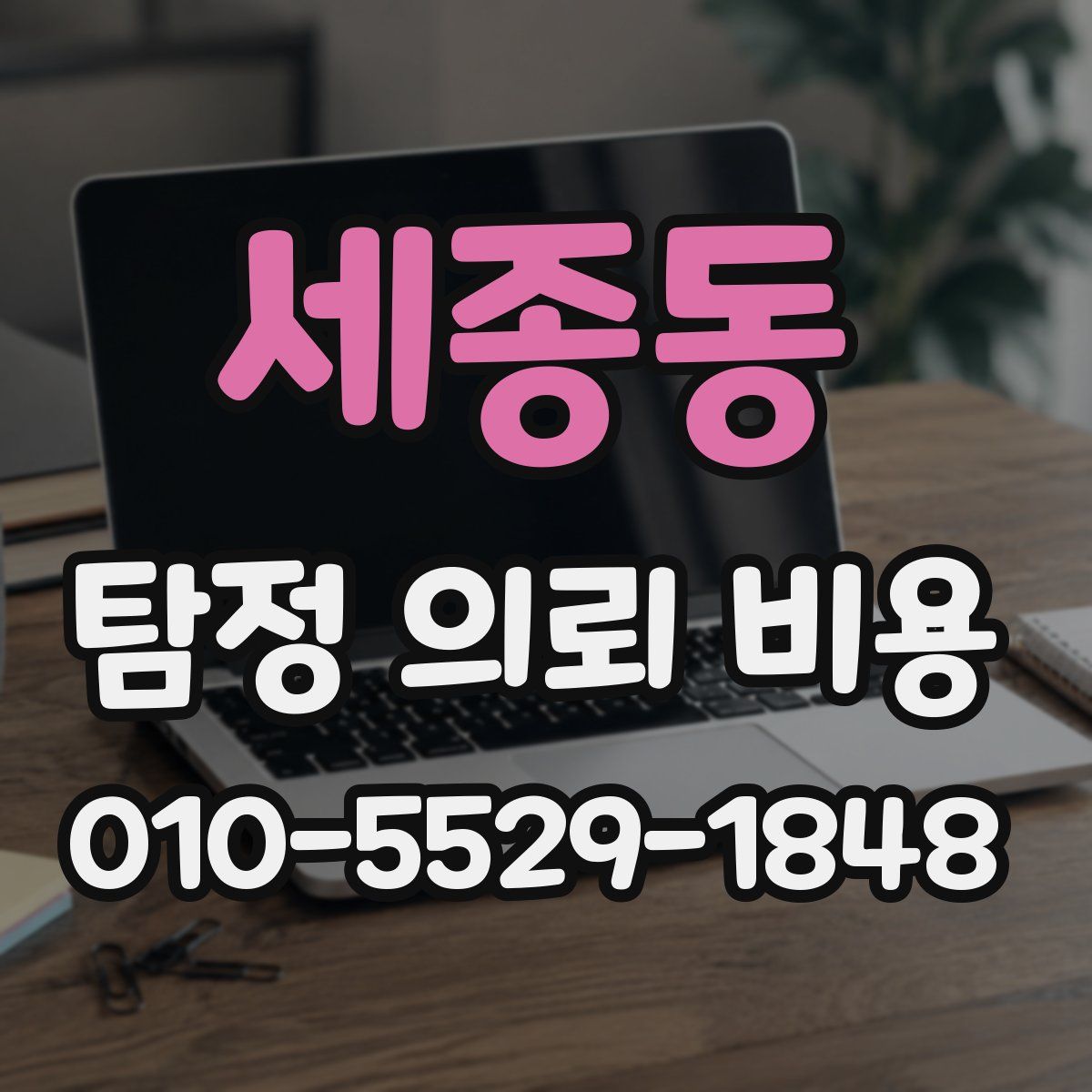세종동 탐정 의뢰 비용