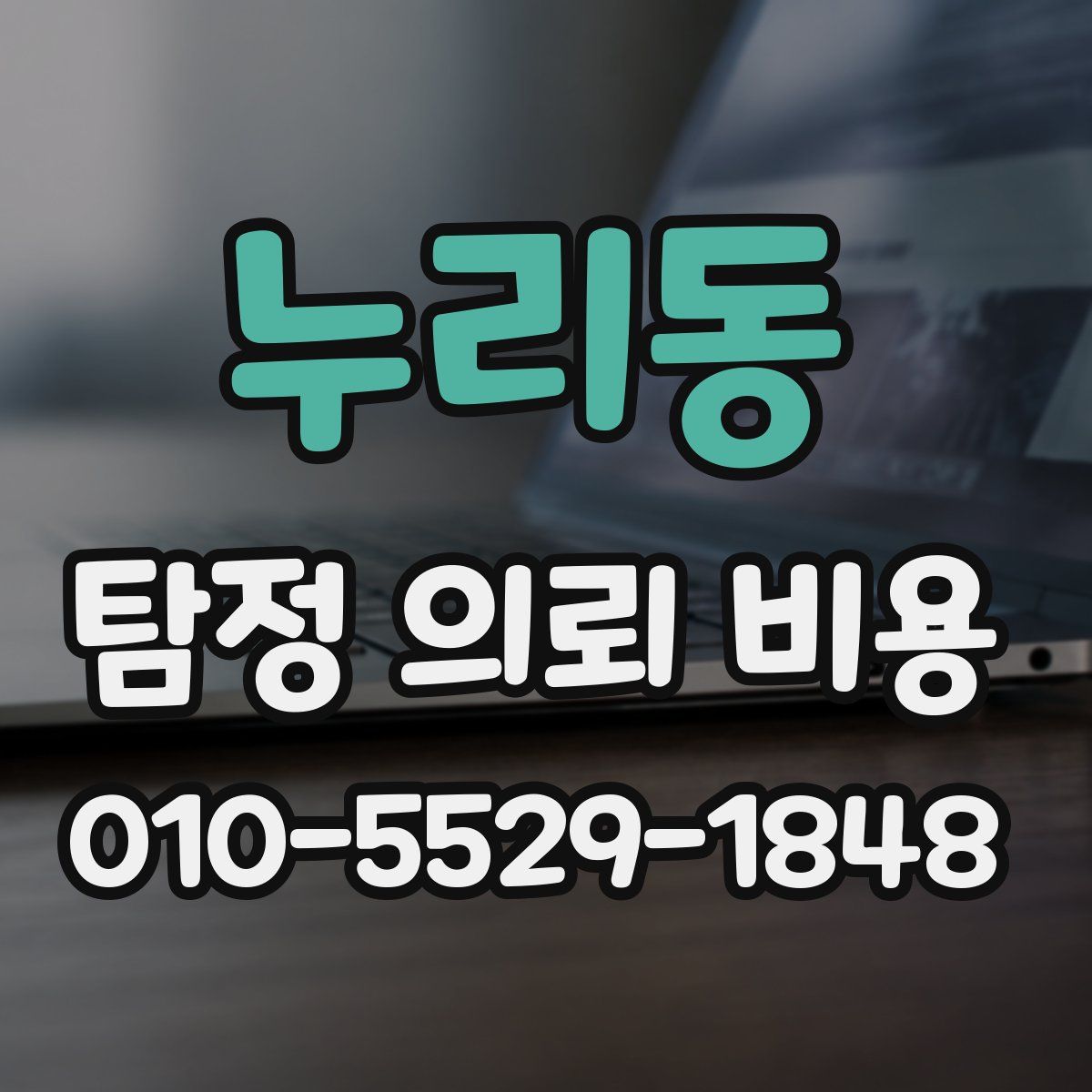 누리동 탐정 의뢰 비용