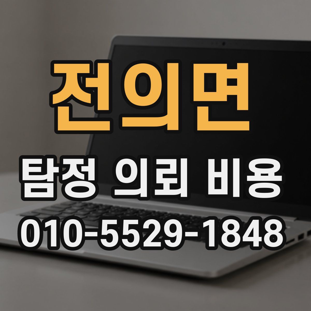 전의면 탐정 의뢰 비용